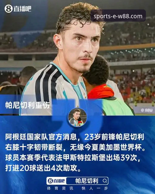 阿根廷锋线新星重伤无缘世界杯：一次战术损失与平台观赛体验的深度评测